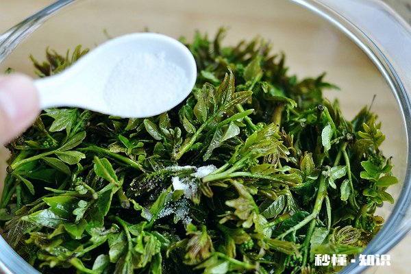 香椿不能和什么一起吃 香椿的功效与作用