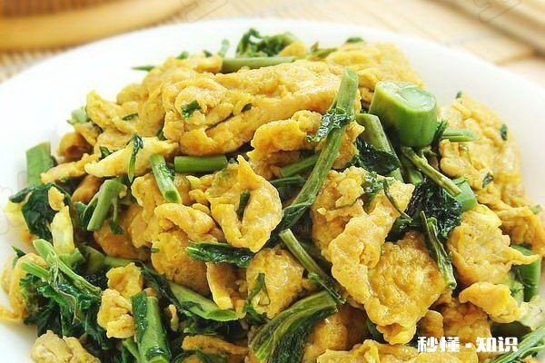 香椿不能和什么一起吃 香椿的功效与作用