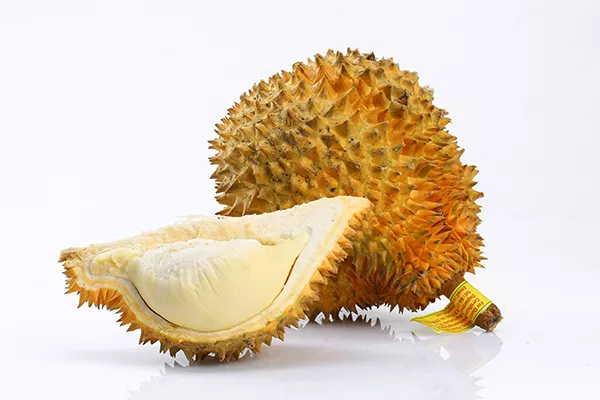 蚕豆不能和什么一起吃 蚕豆的功效与作用