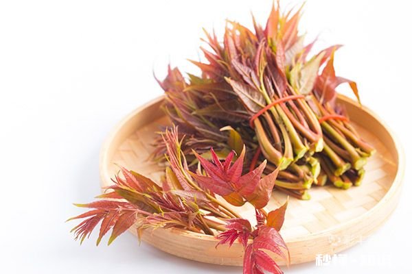 香椿哪些人不能吃 香椿的禁忌人群