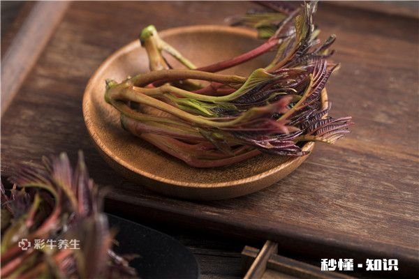 香椿哪些人不能吃 香椿的禁忌人群