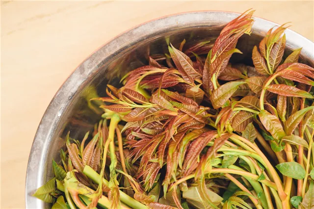 香椿哪些人不能吃 香椿的禁忌人群