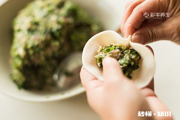 孕妇可以吃韭菜饺子吗 哪些人不宜吃韭菜饺子