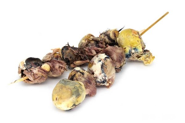 哪些人不适合吃活珠子 活珠子的功效与作用