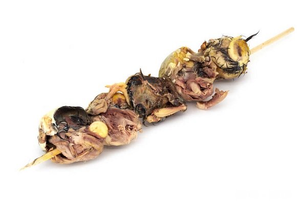 哪些人不适合吃活珠子 活珠子的功效与作用