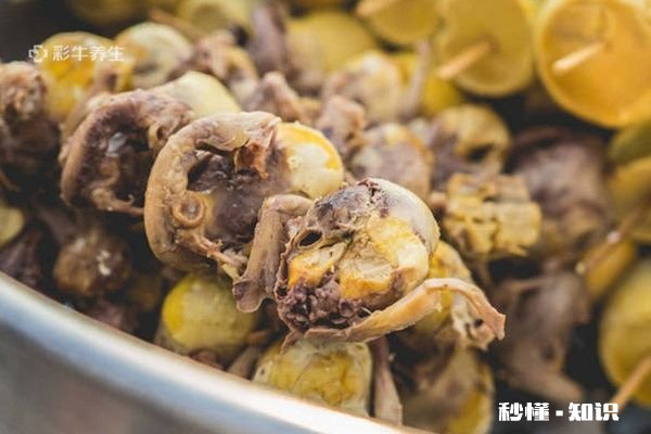 哪些人不适合吃活珠子 活珠子的功效与作用