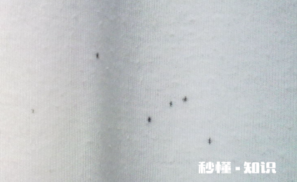 裤子发霉了洗了还能穿吗 穿了发霉的裤子会怎么样