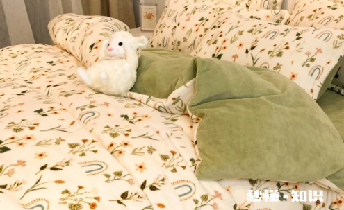 牛奶绒和纯棉四件套哪个好 为什么不建议买牛奶绒四件套