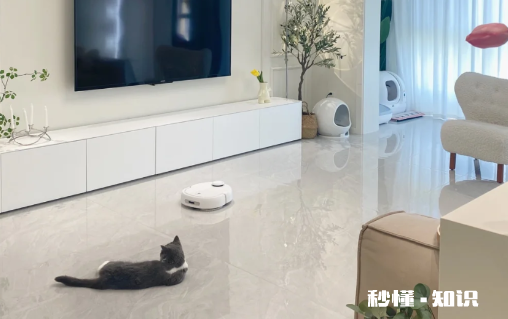 瓷砖有甲醛吗 通体砖贵还是抛釉砖贵