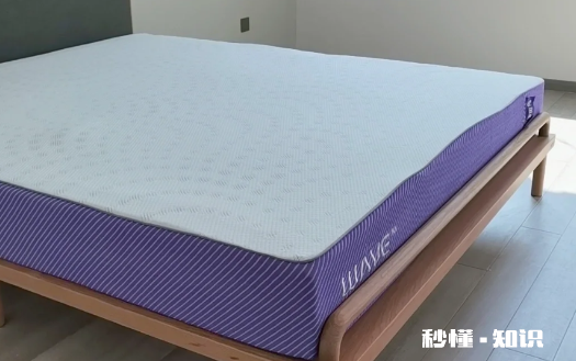 蓝盒子和菠萝斑马哪个好 蓝盒子和菠萝斑马床垫使用对比评测