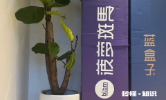 蓝盒子和菠萝斑马哪个好 蓝盒子和菠萝斑马床垫使用对比评测