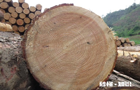 木头一般刷什么漆什么油 木头的漆味怎么去除小技巧