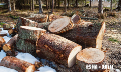 木头一般刷什么漆什么油 木头的漆味怎么去除小技巧