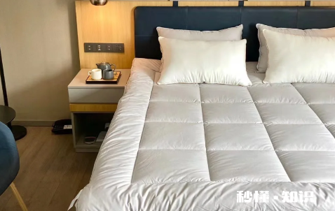 五星级酒店用的什么床垫那么软 五星级酒店床垫适合家用吗