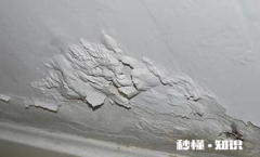 室内漏雨掉墙皮怎么修复 墙面一直潮湿掉皮怎么办