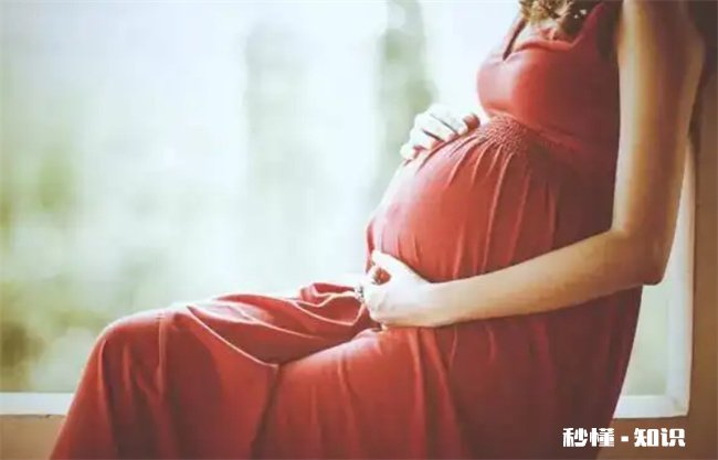 怀孕后几个月坐飞机好不好 怀孕后几个月可以坐飞机