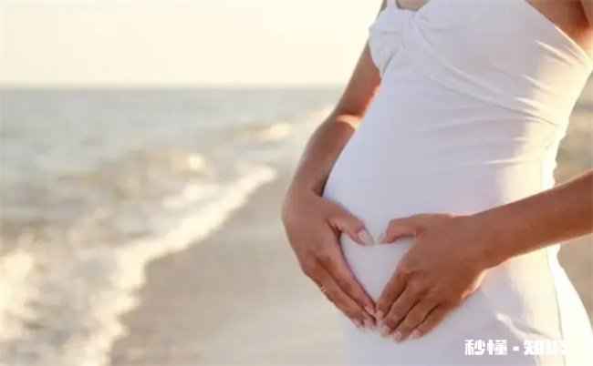 怀孕后几个月坐飞机好不好 怀孕后几个月可以坐飞机