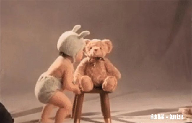 为新生儿拍照需注意哪些事项