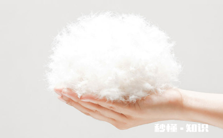 羽绒裤是鸭绒的好还是鹅绒的好 羽绒裤有必要买鹅绒吗