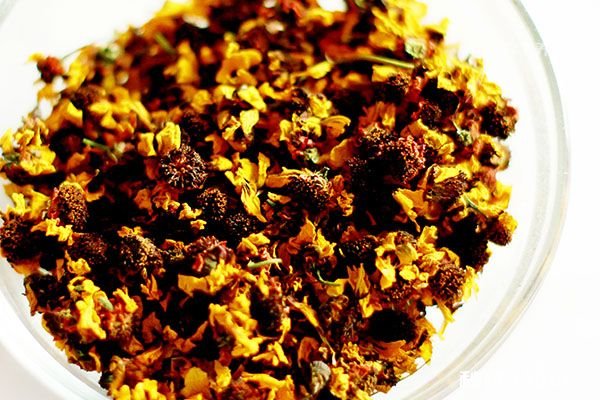 什么人不适合喝雪菊 雪菊的禁忌人群