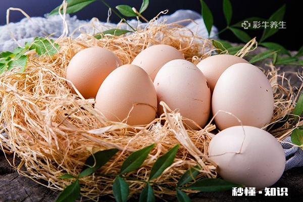 乌鸡蛋不适合什么人吃