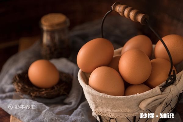 乌鸡蛋不适合什么人吃