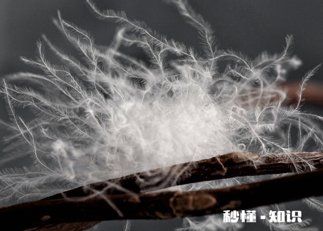 羽绒裤买回来要先洗再穿吗 新买的羽绒裤能不能直接穿