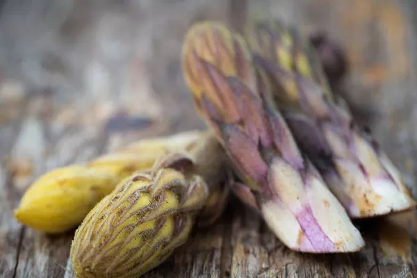 肉苁蓉的禁忌 食用肉苁蓉的注意事项