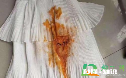 衣服上咖喱汁怎么去掉 衣服上的咖喱粉怎么清洗