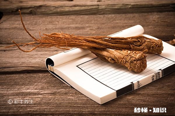 黄芪当归泡水喝的禁忌 黄芪当归泡水喝的功效