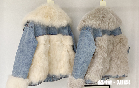 獭兔毛皮草一千元贵吗 獭兔毛和兔毛内胆价格的区别有哪些