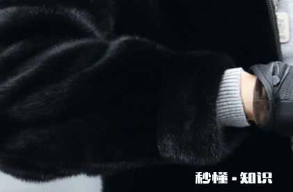 水貂绒毛衣怎么不掉毛 水貂绒是什么动物的毛