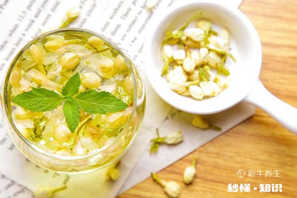 茉莉泡水喝的禁忌 茉莉泡水喝有什么注意事项