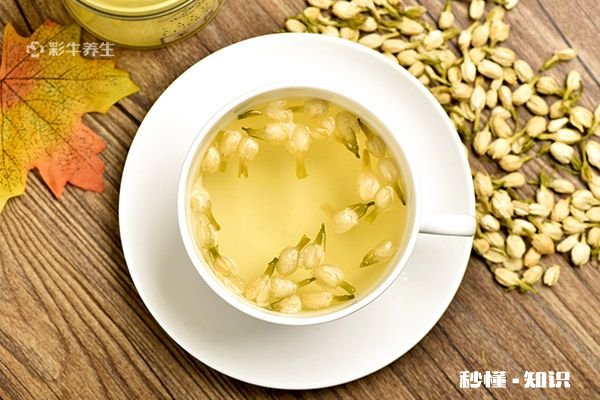 茉莉泡水喝的禁忌 茉莉泡水喝有什么注意事项