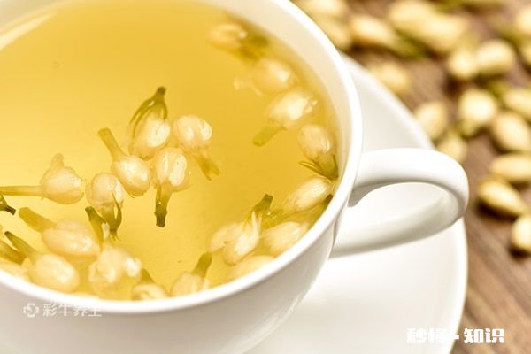 茉莉泡水喝的禁忌 茉莉泡水喝有什么注意事项