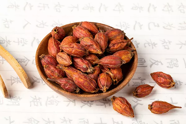 栀子泡水喝的禁忌 栀子泡水喝的功效