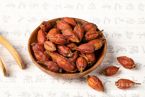 栀子泡水喝的禁忌 栀子泡水喝的功效