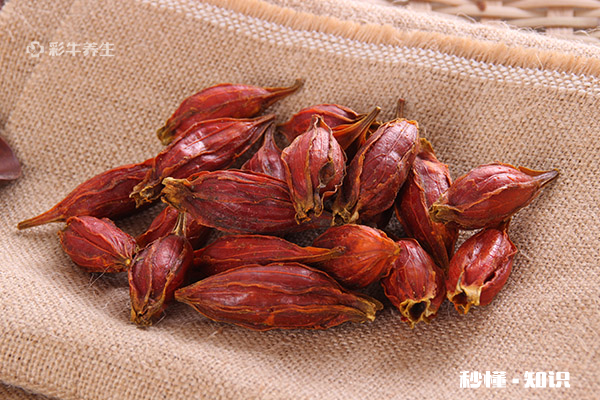 栀子泡水喝的禁忌 栀子泡水喝的功效