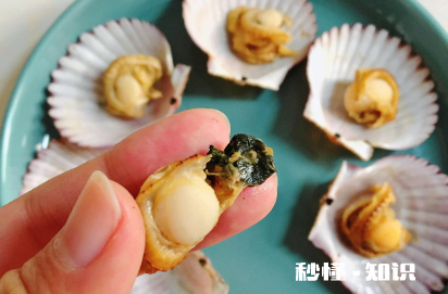 衣服上的扇贝汁怎么清洗 扇贝的内脏弄到衣服上洗不掉