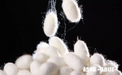 桑蚕丝漂黄了怎么办 桑蚕丝漂白变黄用醋泡行不行