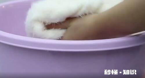 獭兔毛内胆比羽绒服暖和吗 獭兔毛怎么自己在家洗