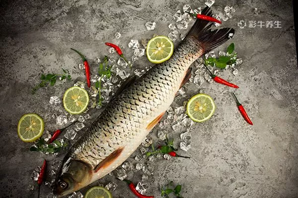 鱼泡什么人不能吃 鱼泡的功效和作用