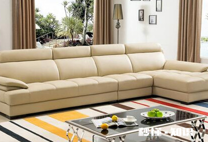 皮沙发长霉斑怎么去除 皮沙发长霉正常吗