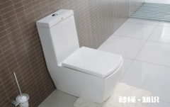 马桶三级能效是不是很费水 马桶一级和二级水效差别大吗