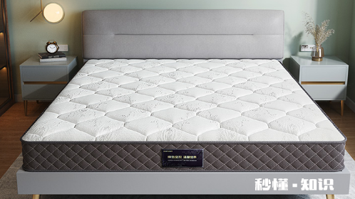 椰棕床垫会长虫子吗 椰棕床垫会生什么样的虫子