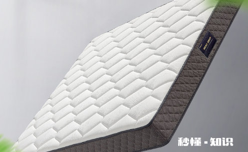 椰棕床垫会长虫子吗 椰棕床垫会生什么样的虫子