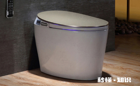 马桶两个排污口好不好 马桶两个排污口是不是必须要封一个