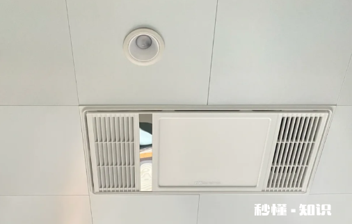 卫生间吊顶上老鼠会跑出来吗 卫生间吊顶上面有老鼠怎么办