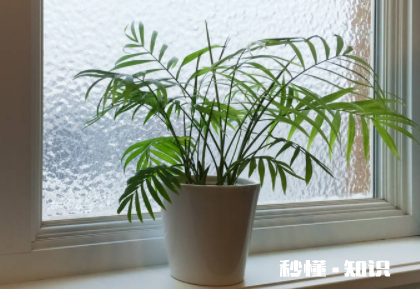 冬天封窗户怎么封保暖 冬天窗户漏风怎么保暖