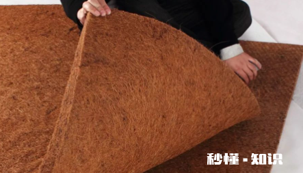 老人小孩睡椰棕床垫好不好 怎么区分棕榈床垫的好坏